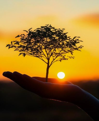 hand-holding-tree-front-sunset-tree-is-small-sun-is-setting-background-concept-peace-tranquility-as-tree-sun-create-serene-calming-atmosphere_1086261-5111